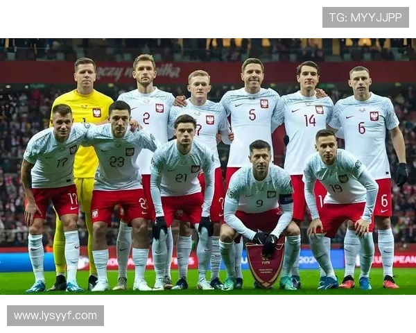 土耳其首发战科索沃波兰关注 土耳其首发战科索沃波兰关注